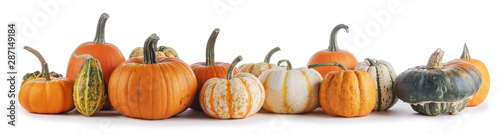 Assortiment of pumpkins on white