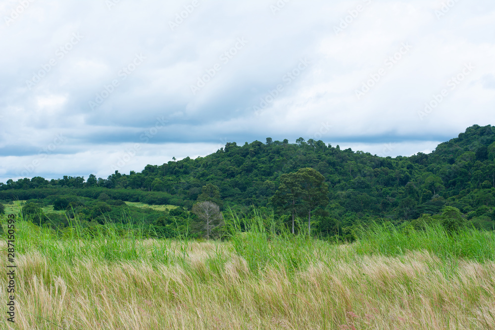 Beautiful nature grassland mountains and sky Beautiful nature grassland mountains and sky