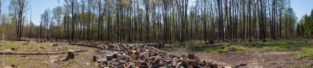 deforestation panorama. destruction of nature. logging. environmental damage deforestation panorama. destruction of nature. logging. environmental damage