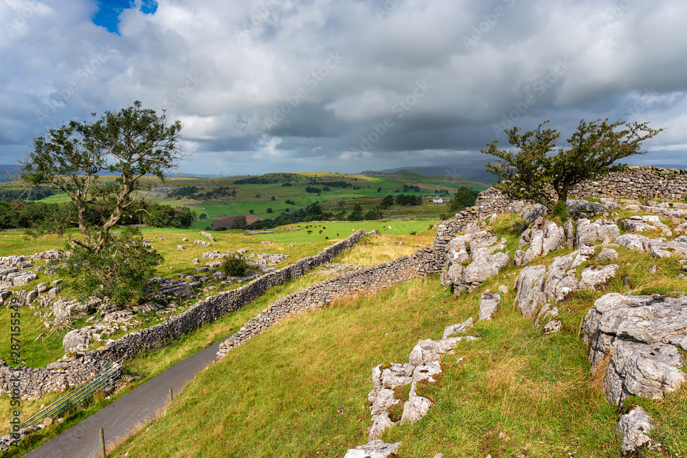 Summer in the Yorkshire Dales