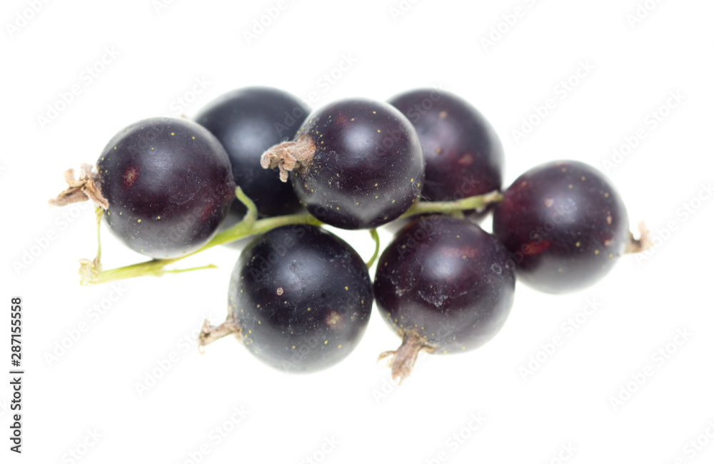 Ripe blackcurrant berries on a white background Ripe blackcurrant berries on a white background