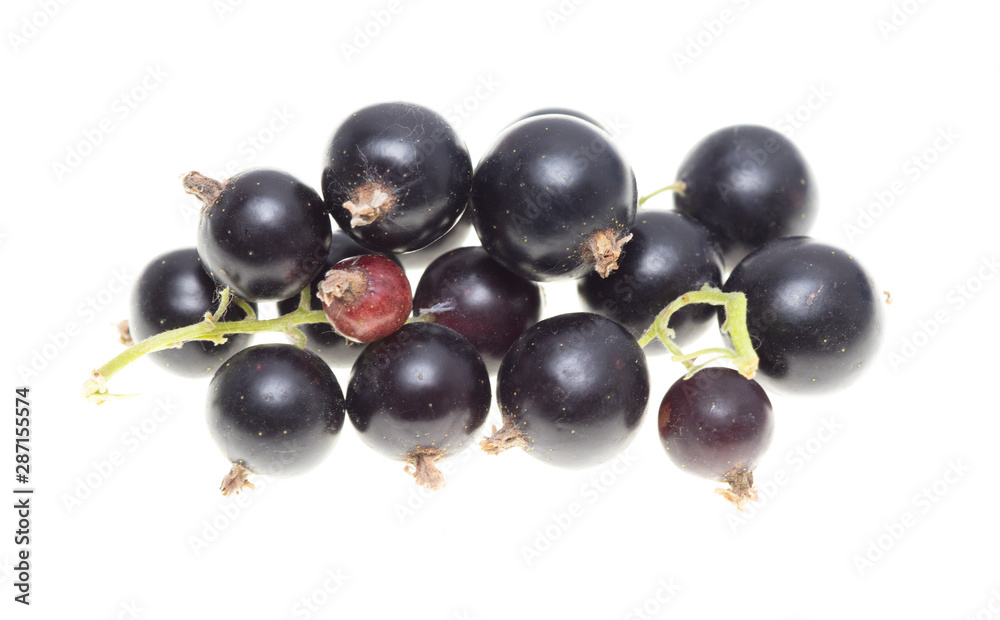 Ripe blackcurrant berries on a white background Ripe blackcurrant berries on a white background