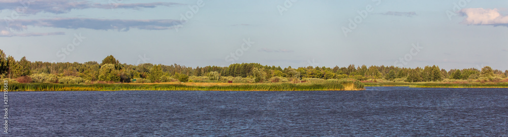 Landscape with trees on the shore of a reservoir in summer