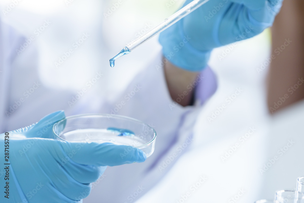Fototapeta premium The scientist have test and researching in laboratory.