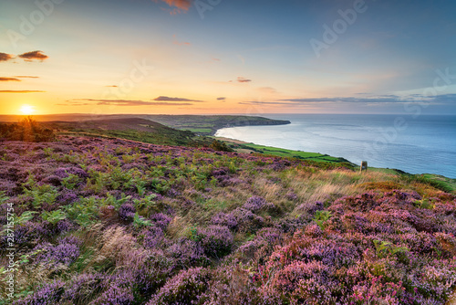 Summer heather in bloom on the North York Moors photo