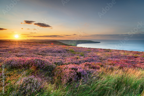 Sunset over heather in bloom on the North York Moors National Park photo