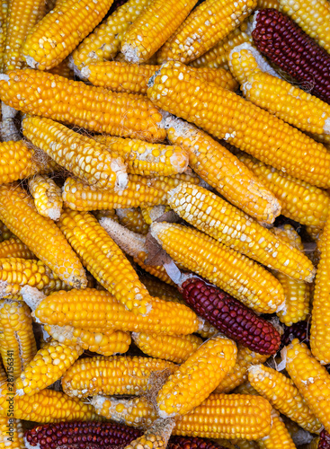 Natural Organic Garden Corns in Basket