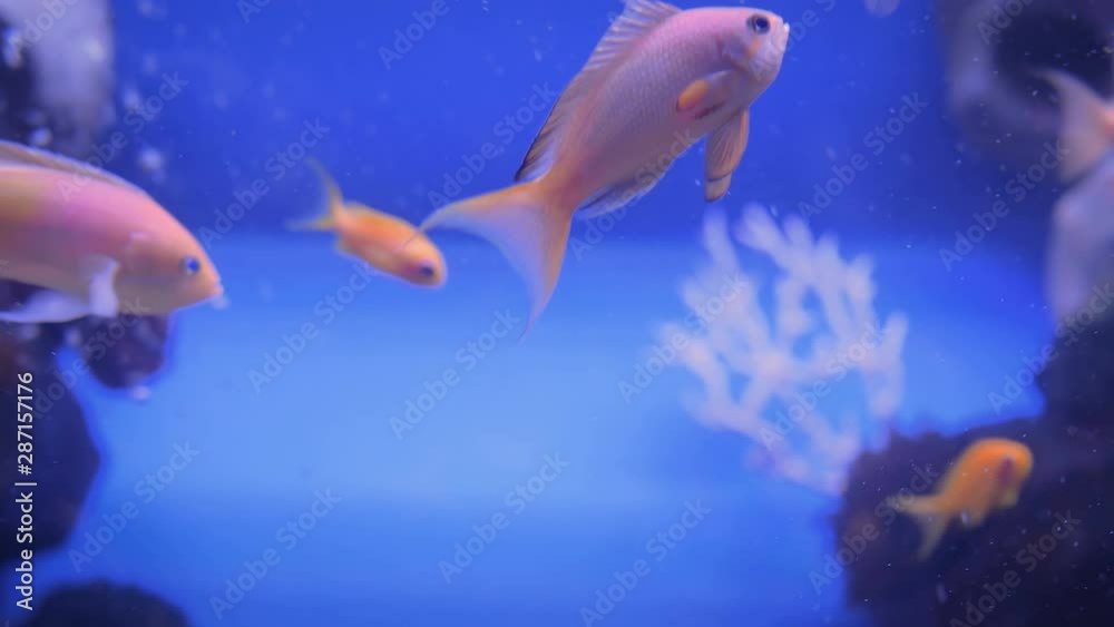 Gallery image with a fresh perspective