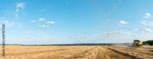 Panoramic photo of wheat field working combine harvester, blue sky.
