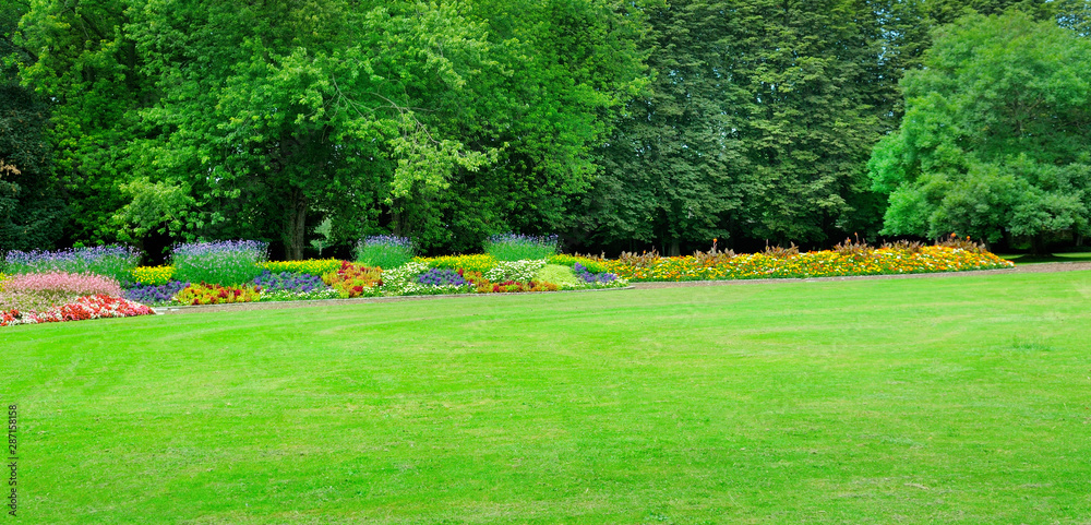 Obraz premium Summer park with beautiful flowers and meadow. Wide photo.