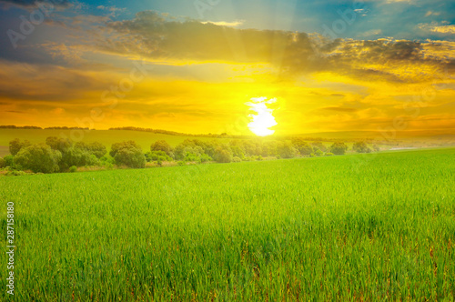 Green field and blue sky with light clouds. Above the horizon is a bright sunrise.