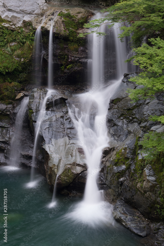 Obraz premium 大轟の滝