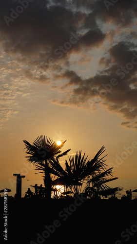 Sunset landscape. beach sunset. palm trees silhouette on sunset tropical beach  Summer