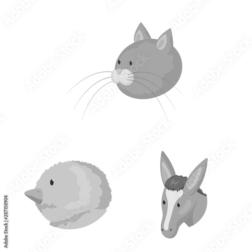 Vector illustration of countryside and homestead icon. Set of countryside and breeding stock vector illustration.