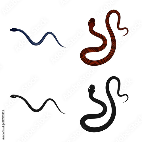 Vector illustration of mammal and danger icon. Collection of mammal and medicine stock vector illustration.