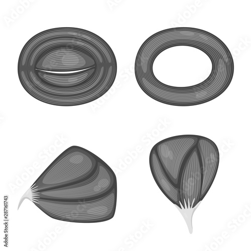 Vector design of human and body logo. Collection of human and cells stock vector illustration.