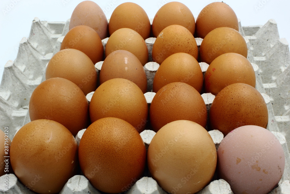 Eggs Eggs