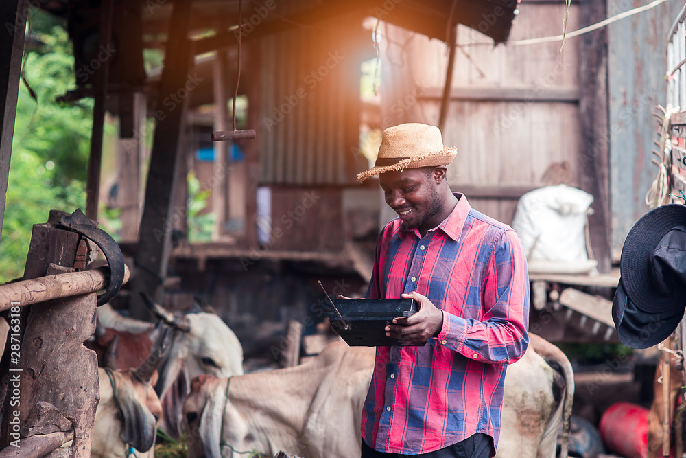 African farmer man with retro radio broadcast receiver on shoulder stands happy smiling outdoor on old cow stall background African farmer man with retro radio broadcast receiver on shoulder stands happy smiling outdoor on old cow stall background
