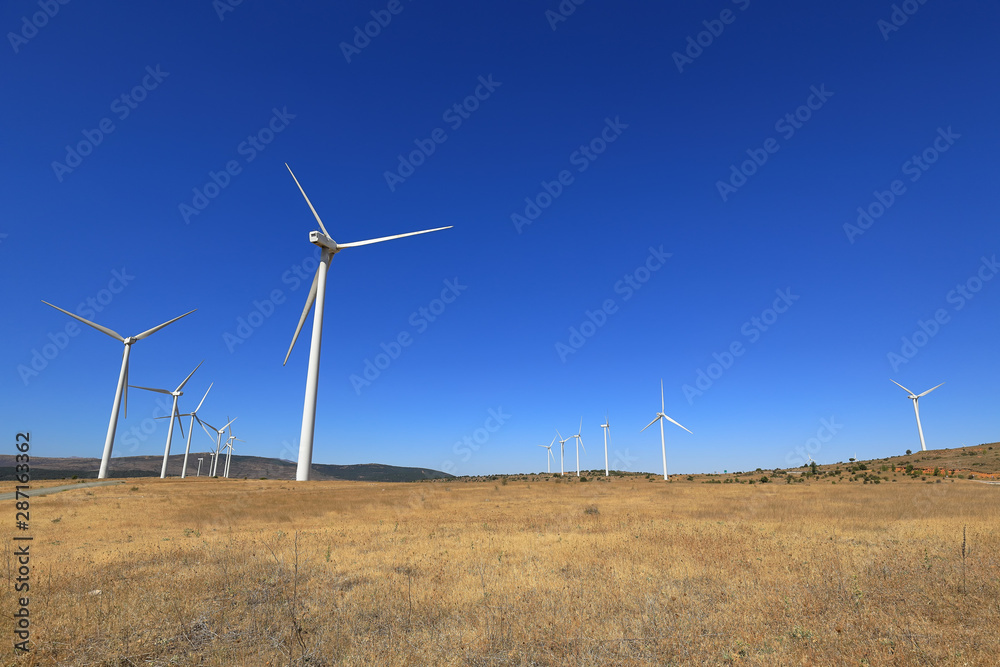 Wind farm with windmills and blue sky. Wind and renewable energy
