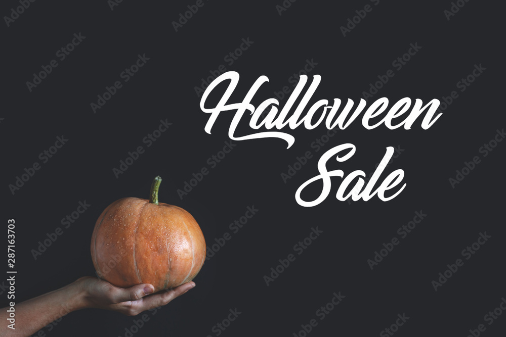 Halloween Sale text with women's hand are holding pumpkin. Copy space. Autumn banner. Halloween Sale text with women's hand are holding pumpkin. Copy space. Autumn banner.