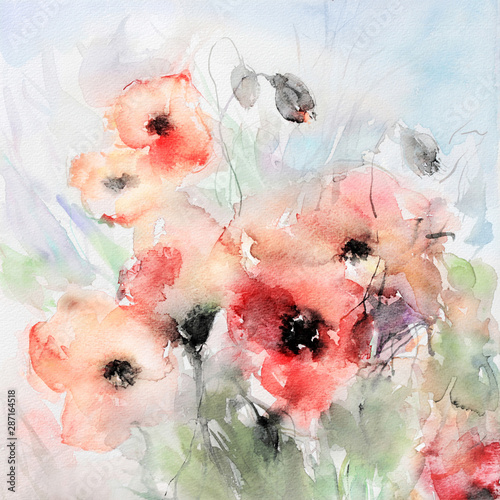 mohnblumen aquarell malerei hell photo