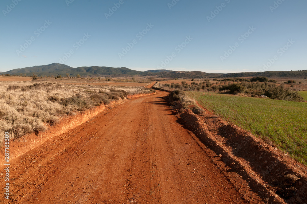 Dirt road between grass fields