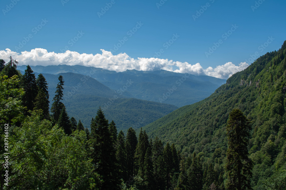 August summer day in the forest of the Caucasus mountains in a park of waterfalls on a mountain river.