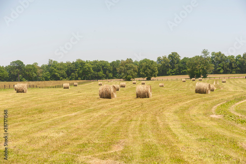 Hay bales in the pasture
