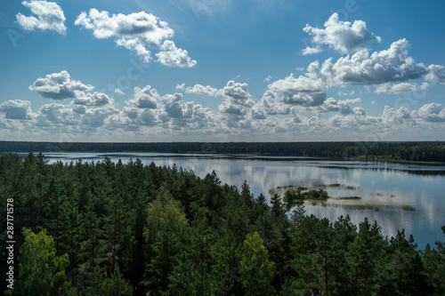 Fototapeta Naklejka Na Ścianę i Meble -  Green trees by the lake on a sunny day, with clouds on the sky