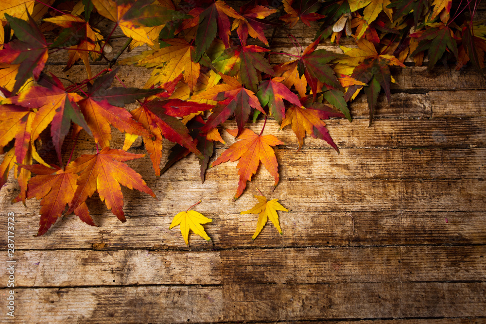 Obraz premium Autumn leaves on wooden background with copy space