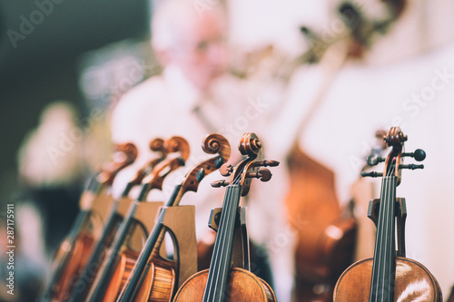 Фотография Details with the scroll, peg box, tuning pegs, strings, neck and fingerboard of