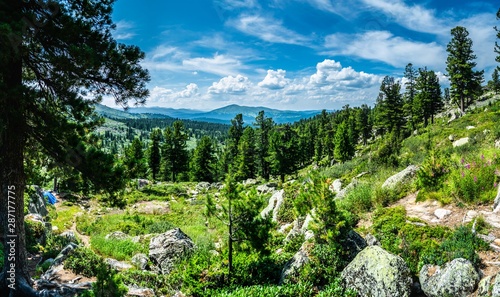 Sunny summer day in taiga forest over sayan mountains, Ergaki national park, Krasnoyarsk region, Siberia, Russia