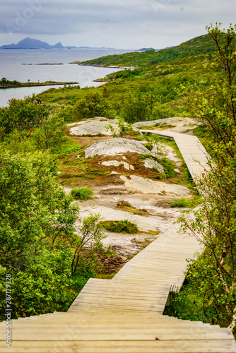 Walkway and fjord landscape, Lofoten Norway