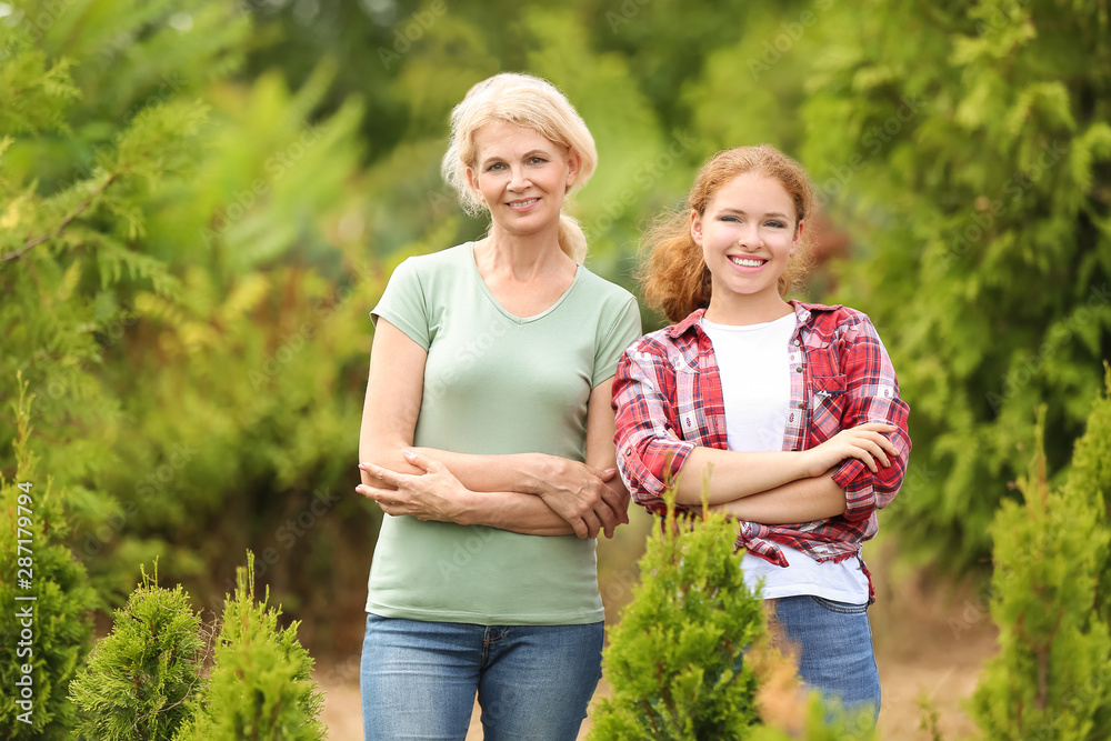 Fototapeta premium Female gardeners taking care of plants outdoors
