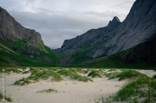  Dune in warm sunlight with beautiful white sand pattern and green gras. Horseid Beach in the Lofoten Islands, Norway photo