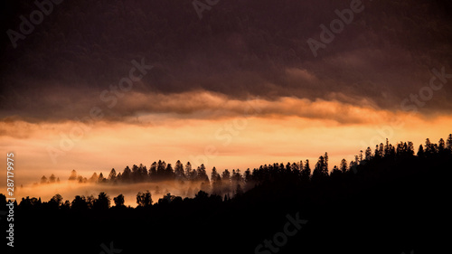 Beautiful misty sunrise in the mountains. Bieszczady Mountains. Poland. © Szymon Bartosz