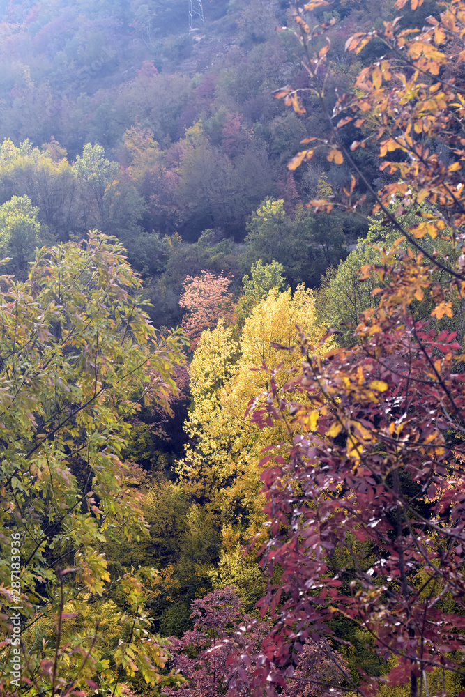 Colori Autunnali in Ciociaria