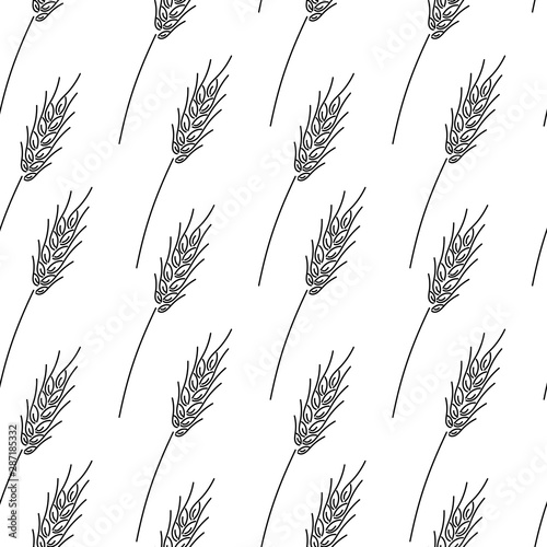 Hand drawn pattern with black ears of wheat on white background . Vector illustration. Fabric, fabric, surface design