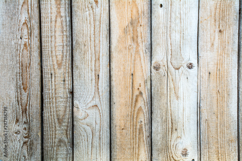 Old planks of pine grey color as the background.
