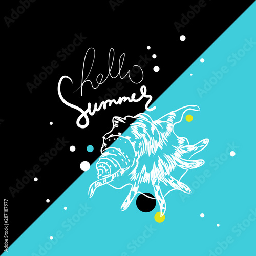 Lambis spider conch Chicoreus aculeatus, shell sea snail Hello summer card banner. Sketch contour on black blue background. Vector photo