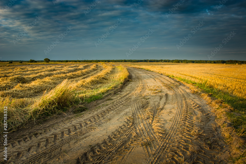 Traces of wheels on a sandy road through fields and dark sky