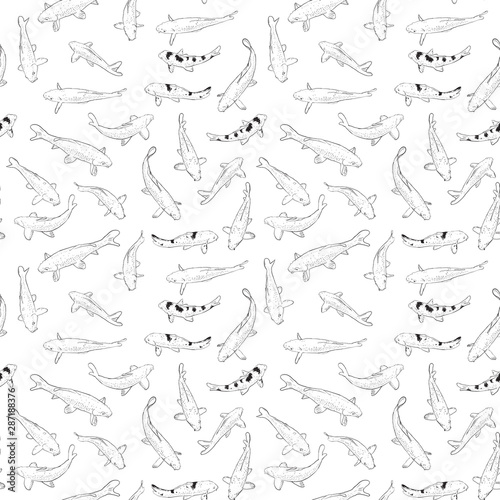 Seamless pattern Koi carp nishikigoi literally brocaded carp. Common carp that are kept in outdoor koi ponds water gardens. black outline on white background sketch doodle. Vector