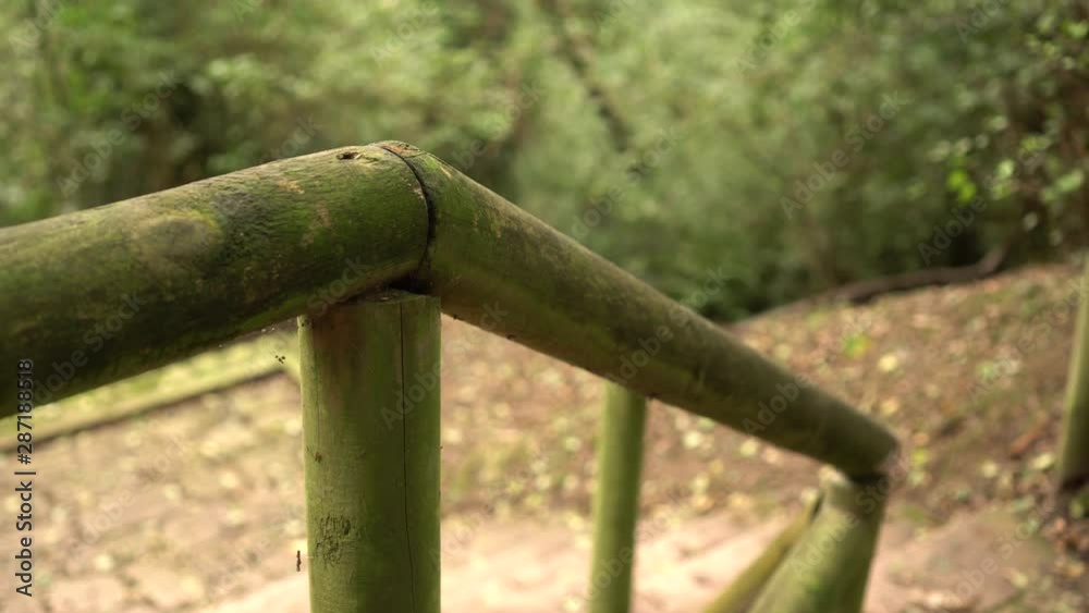 Log handrails of an old staircase moss-covered in an old hilly forest Log handrails of an old staircase moss-covered in an old hilly forest