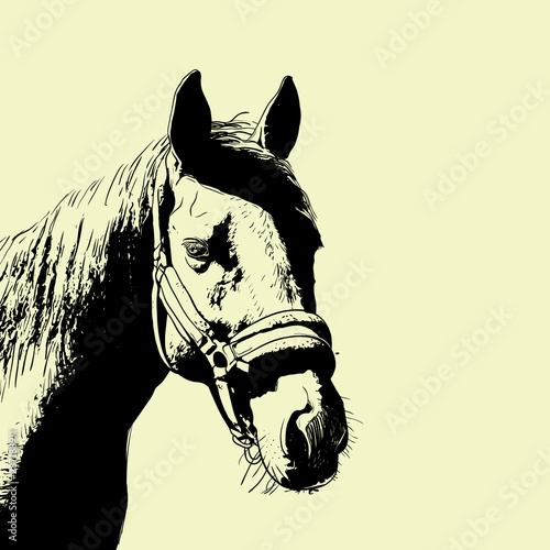 horse portrait, bridle on head, snaffle headband isolated brown color on beige background. sketch, outline, draft drawing, Image for design and tattoo. Vector