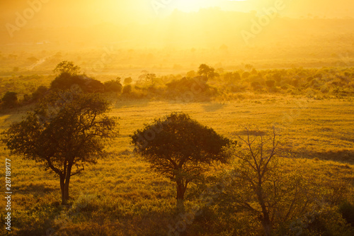 Sonnenaufgang im Tsavo West Nationalpark Kenia Afrika