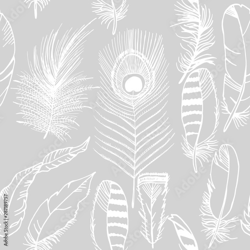 feather seamless pattern hand drawn sketch, peacock, jay