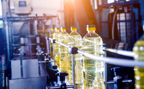 Bottling line of sunflower oil in bottles. Vegetable oil production plant. High technology.