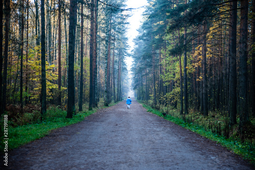 Atmospheric autumn photo, a man runs along the road, the theme of sports and autumn