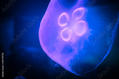 ZOO Wroclaw Africarium