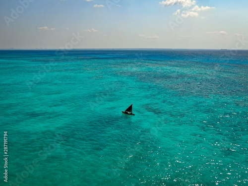 swimming in the sea